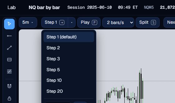 The step size menu open with Step 1 (default), 2, 3, 5, 10 and 20.